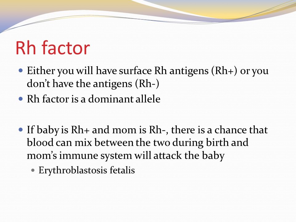 Rh factor Either you will have surface Rh antigens (Rh+) or you don’t have the antigens (Rh-) Rh factor is a dominant allele If baby is Rh+ and mom is Rh-, there is a chance that blood can mix between the two during birth and mom’s immune system will attack the baby Erythroblastosis fetalis
