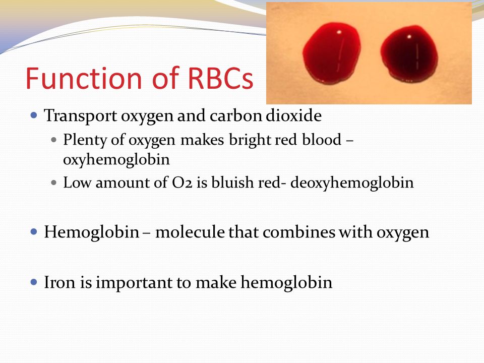 Function of RBCs Transport oxygen and carbon dioxide Plenty of oxygen makes bright red blood – oxyhemoglobin Low amount of O2 is bluish red- deoxyhemoglobin Hemoglobin – molecule that combines with oxygen Iron is important to make hemoglobin