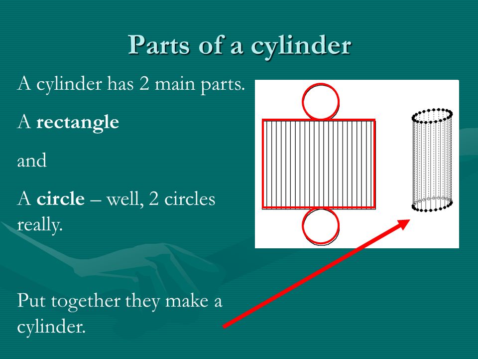 Parts of a cylinder A cylinder has 2 main parts. A rectangle and A circle – well, 2 circles really.
