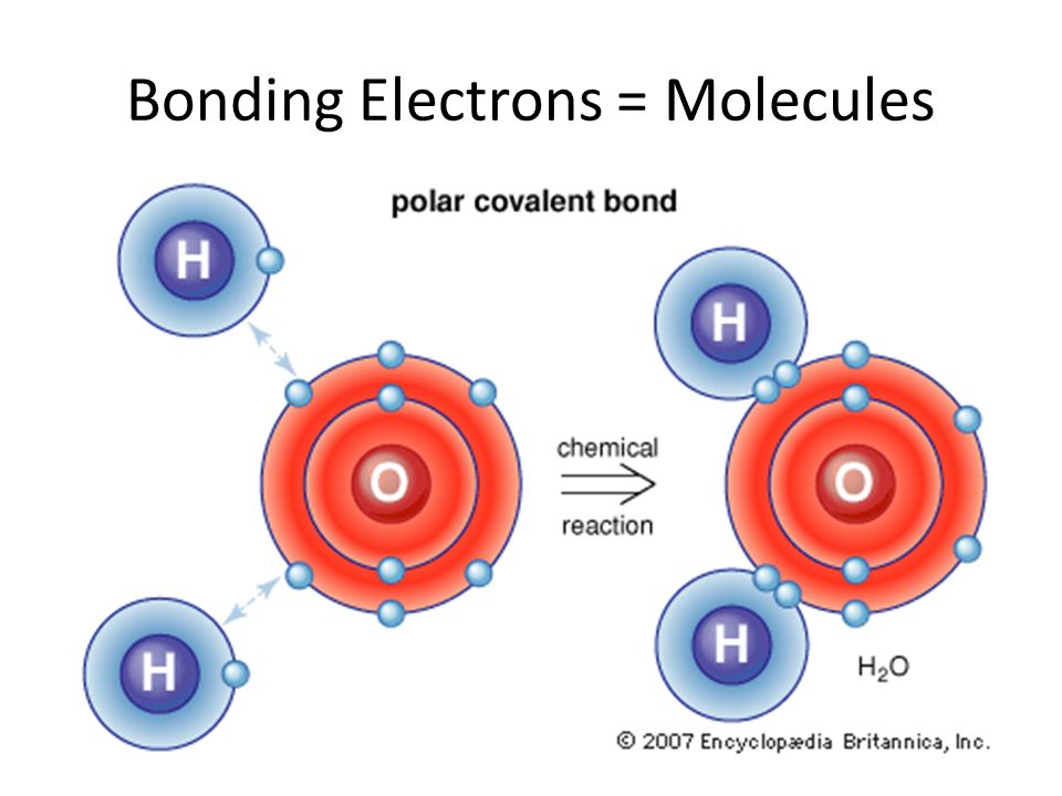 Bonding Electrons = Molecules