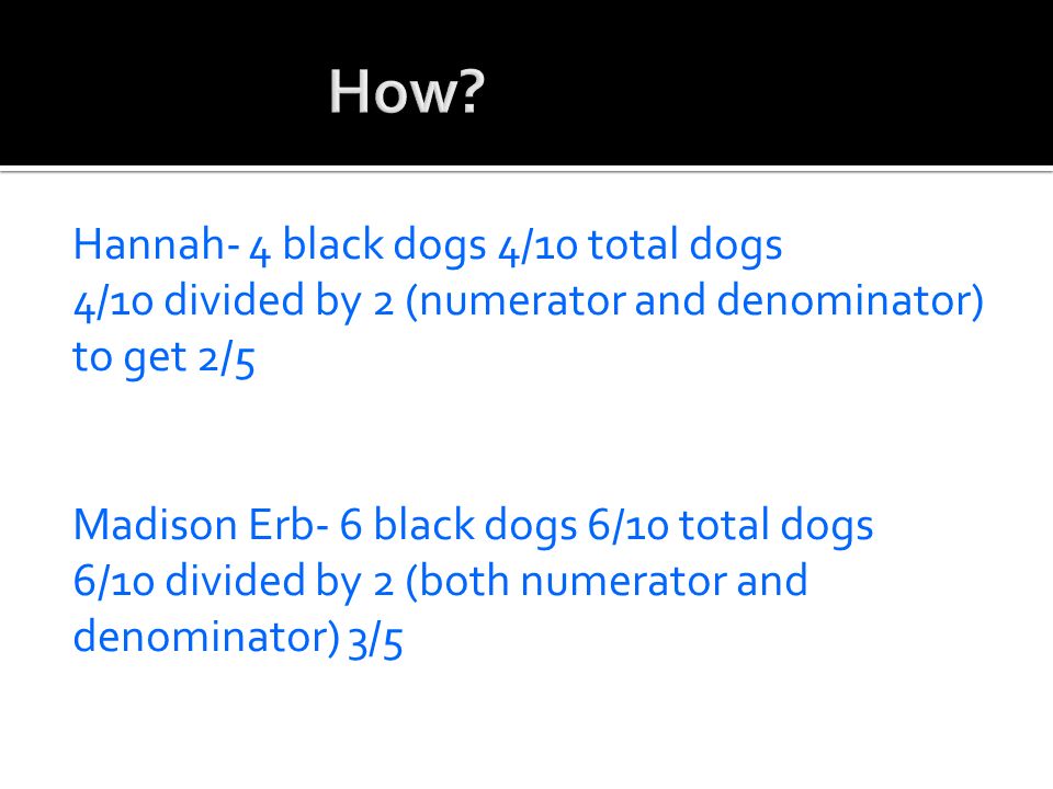 Hannah- 4 black dogs 4/10 total dogs 4/10 divided by 2 (numerator and denominator) to get 2/5 Madison Erb- 6 black dogs 6/10 total dogs 6/10 divided by 2 (both numerator and denominator) 3/5