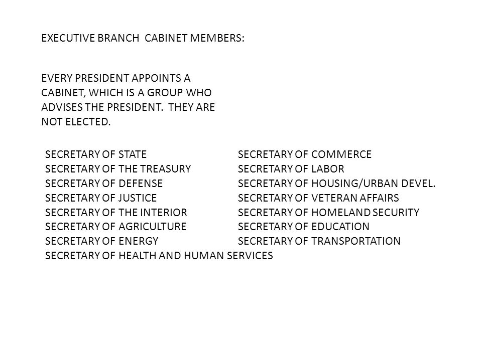 EXECUTIVE BRANCH CABINET MEMBERS: EVERY PRESIDENT APPOINTS A CABINET, WHICH IS A GROUP WHO ADVISES THE PRESIDENT.