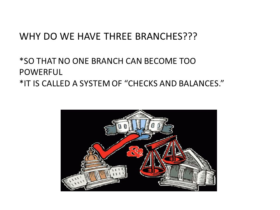 WHY DO WE HAVE THREE BRANCHES .