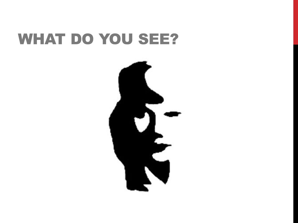WHAT DO YOU SEE
