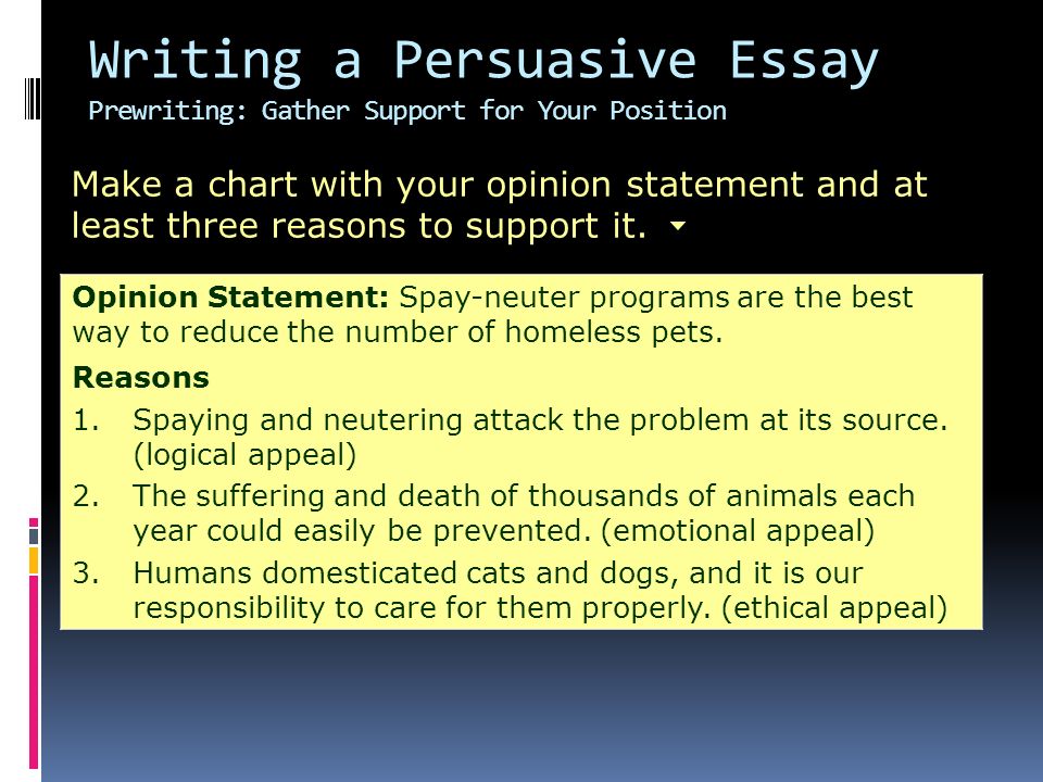 Persasive Essay