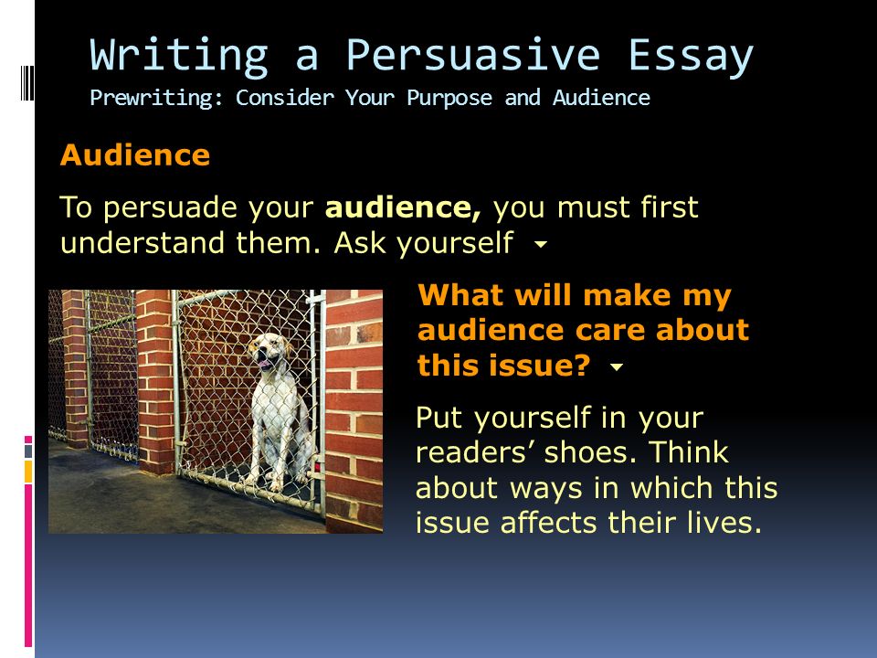 the purpose of shoes essay Essay narrative task in “those wacky shoes,” a girl has to outsmart a pair of shoes sample parcc prose constructed response—7th grade. the purpose of shoes essay Essay narrative task in “those wacky shoes,” a girl has to outsmart a pair of shoes sample parcc prose constructed response—7th grade.
