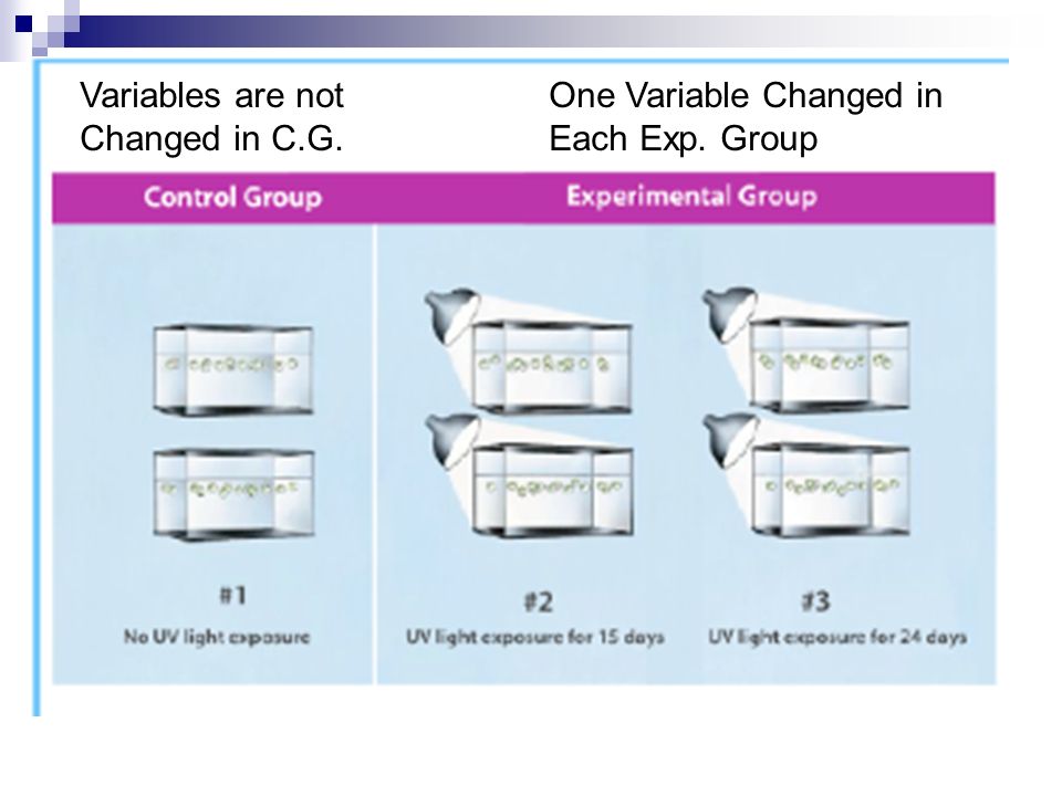 Variables are not Changed in C.G. One Variable Changed in Each Exp. Group