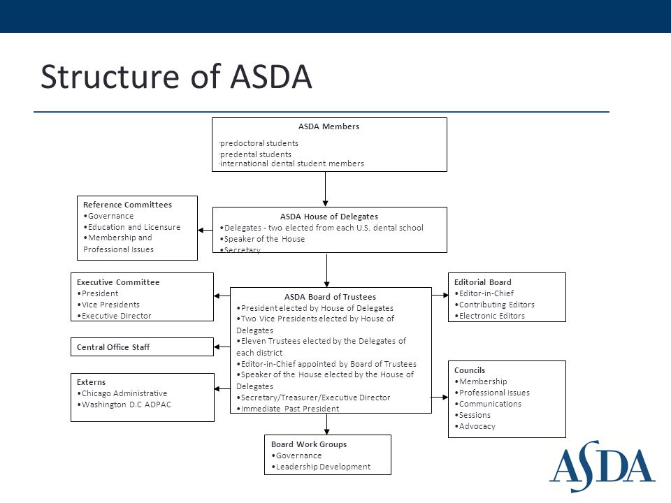 Structure of ASDA ASDA House of Delegates Delegates - two elected from each U.S.
