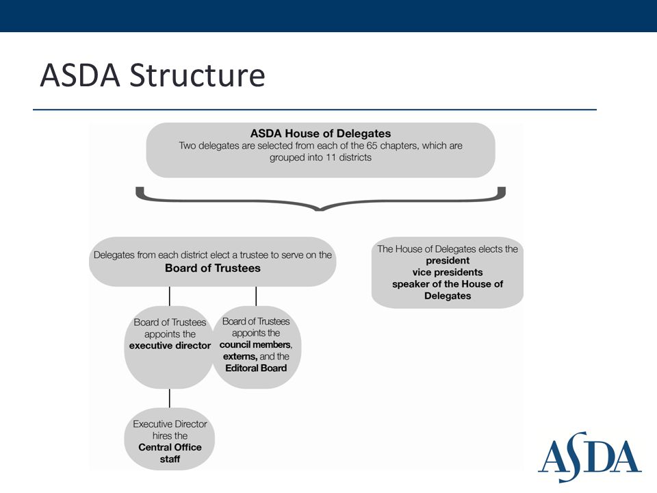 ASDA Structure