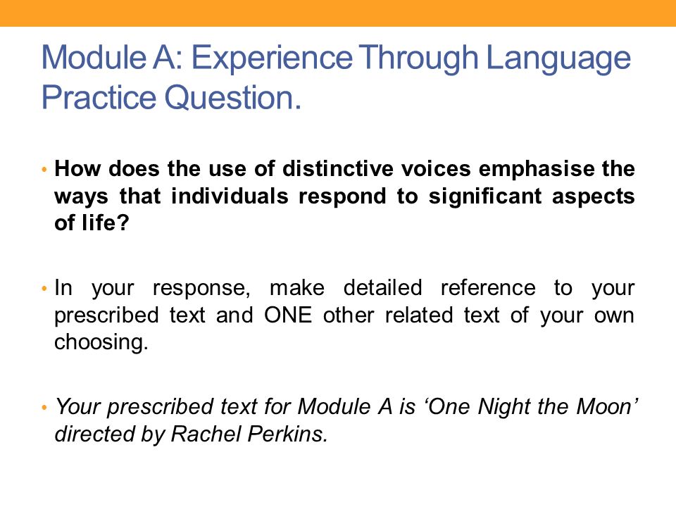 Distinctive voice essay writing