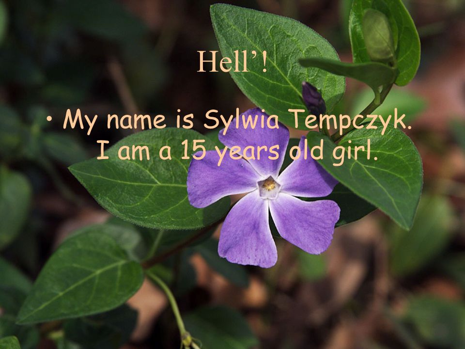 Hell’! My name is Sylwia Tempczyk. I am a 15 years old girl.