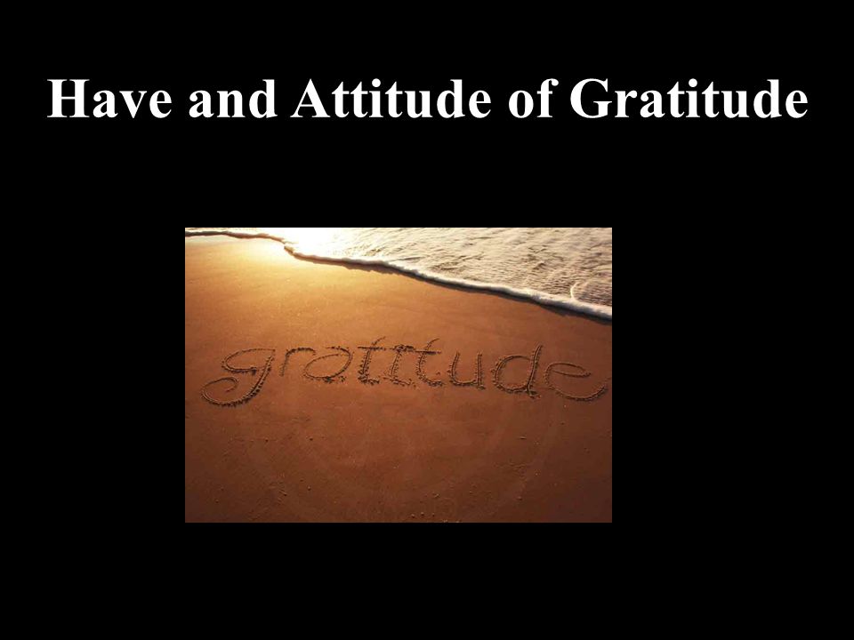 Have and Attitude of Gratitude