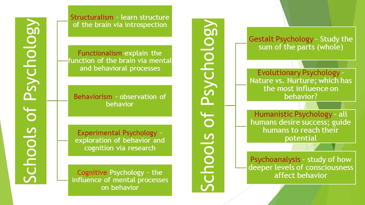 the history and development of behaviorism cognitive and gestalt psychology the history and development of behaviorism cognitive and gestalt psychology