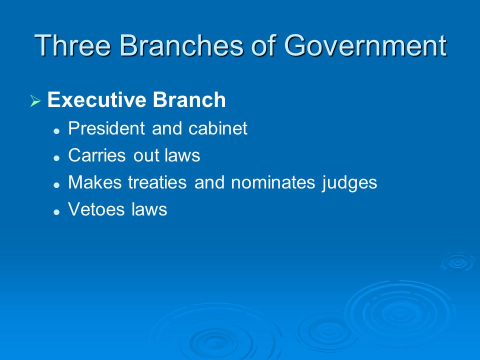 Three Branches of Government   Executive Branch President and cabinet Carries out laws Makes treaties and nominates judges Vetoes laws
