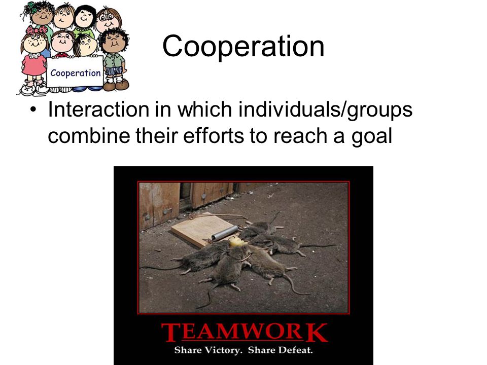 Cooperation Interaction in which individuals/groups combine their efforts to reach a goal
