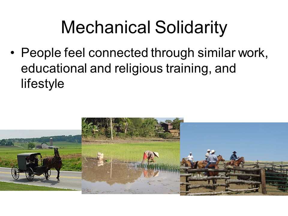 Mechanical Solidarity People feel connected through similar work, educational and religious training, and lifestyle
