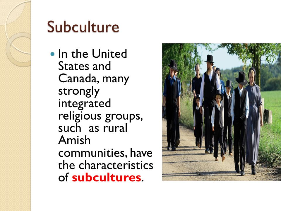 a essay of amish the group of religious people How do the amish differ from mormons update do amish have jokes for very strict groups of amish ask new (of course there are rude lds and amish people. a essay of amish the group of religious people How do the amish differ from mormons update do amish have jokes for very strict groups of amish ask new (of course there are rude lds and amish people.