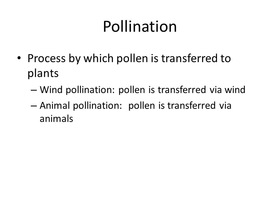 Pollination Process by which pollen is transferred to plants – Wind pollination: pollen is transferred via wind – Animal pollination: pollen is transferred via animals