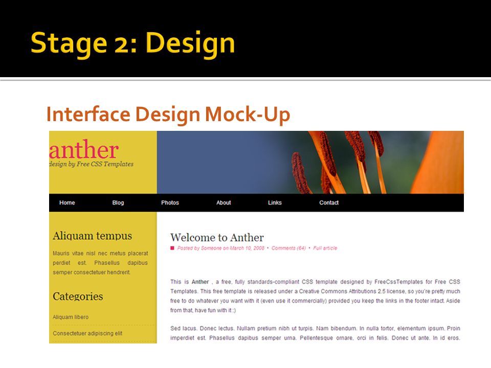 Interface Design Mock-Up