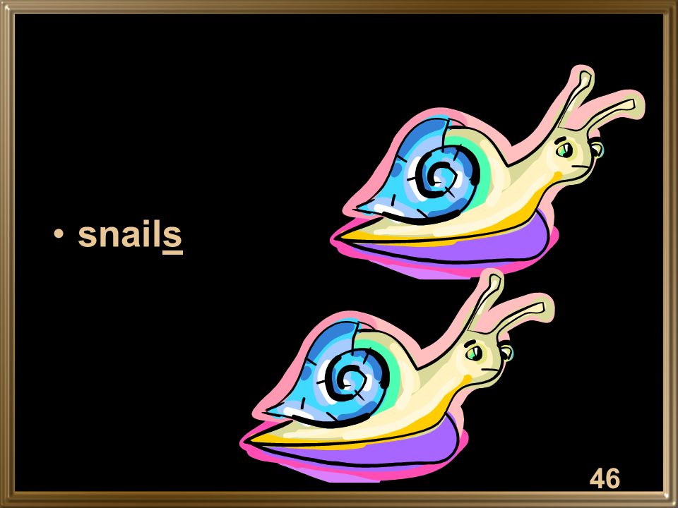 snails 46
