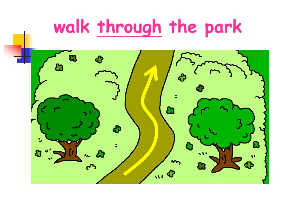 walk throughwalk through the park