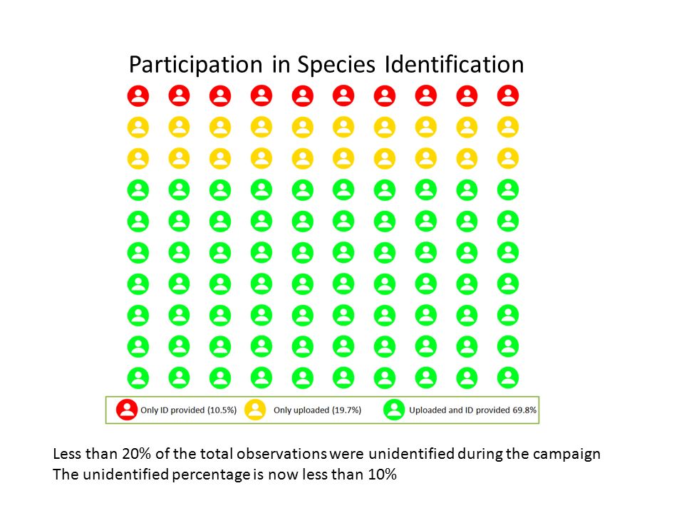 Participation in Species Identification Less than 20% of the total observations were unidentified during the campaign The unidentified percentage is now less than 10%