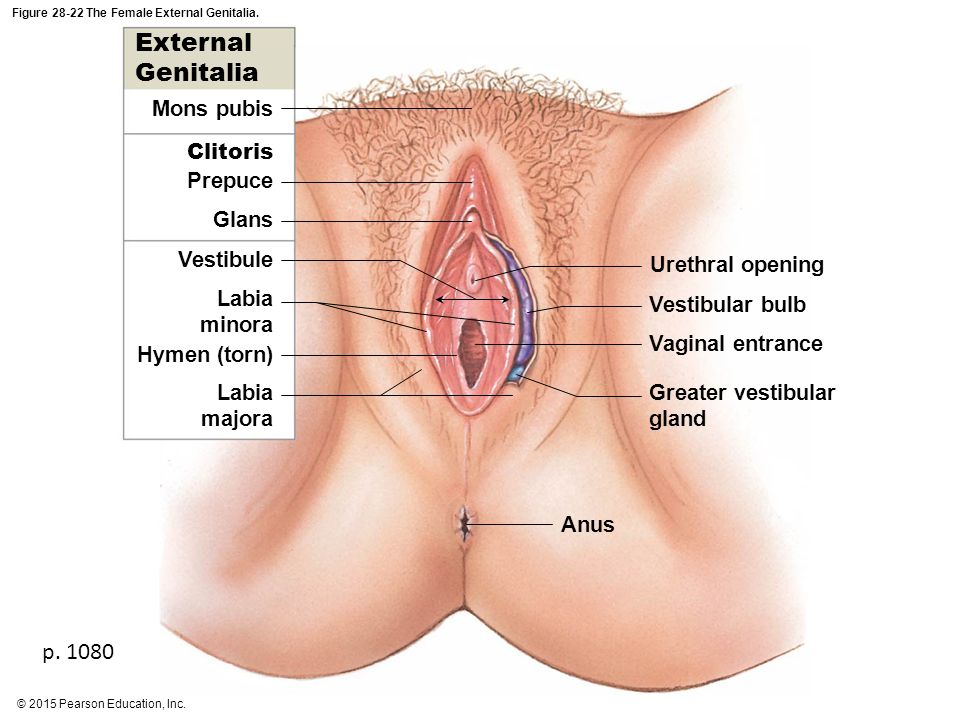 Burning vagina and anus