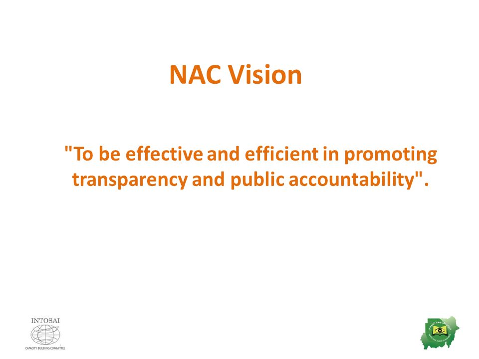 NAC Vision To be effective and efficient in promoting transparency and public accountability .