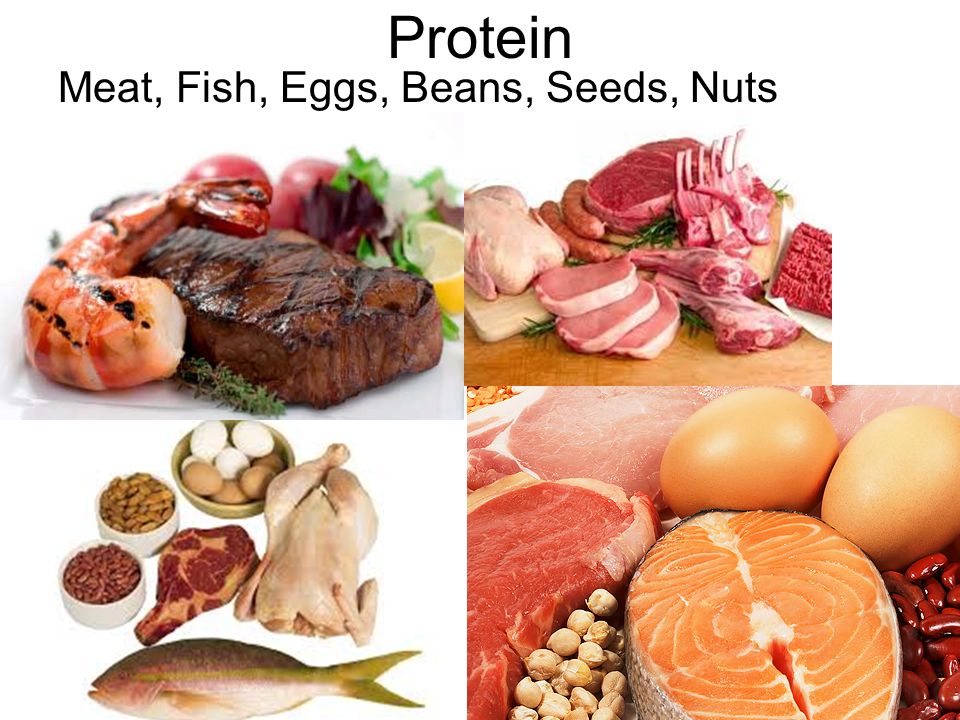 the importance of protein in the human body Proteins perform most of the work in the body including building the structure, regulating the functions of body’s organs and tissues so, eating a diet rich of protein is very important for our health without dietary protein, growth and other essential bodily functions will not take place properly. the importance of protein in the human body Proteins perform most of the work in the body including building the structure, regulating the functions of body’s organs and tissues so, eating a diet rich of protein is very important for our health without dietary protein, growth and other essential bodily functions will not take place properly.