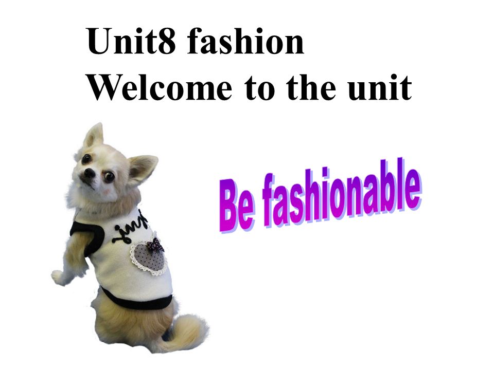 Unit8 fashion Welcome to the unit