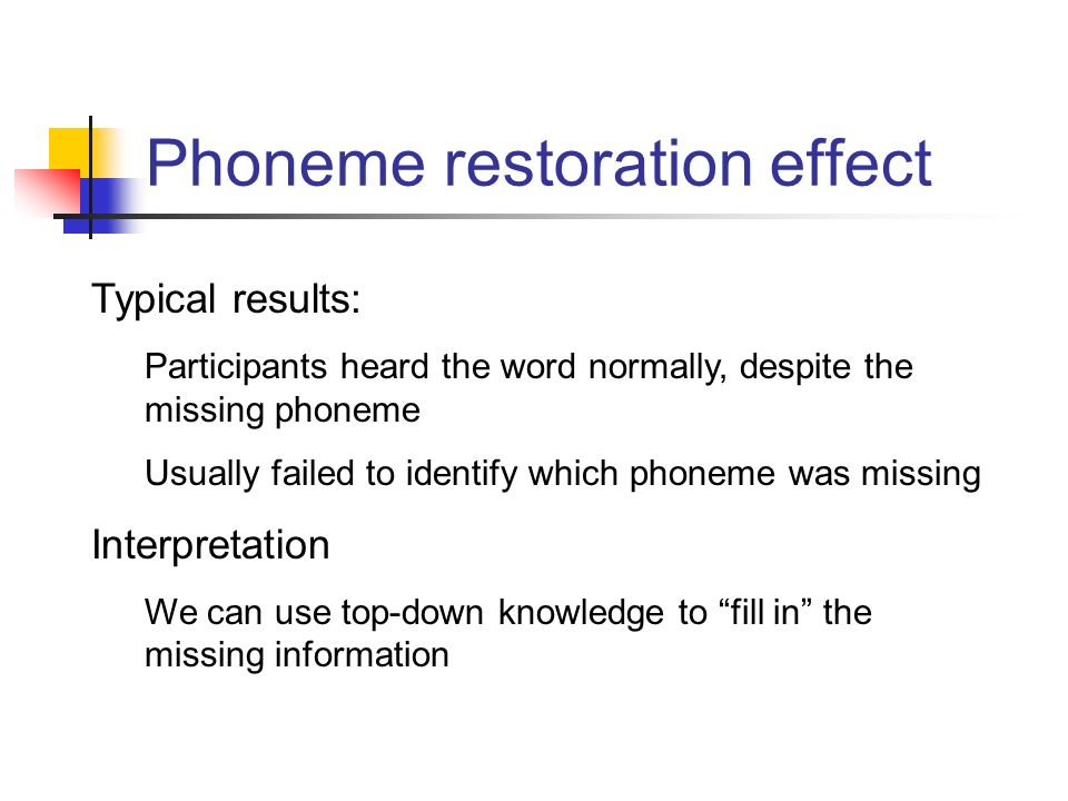 another word for participants