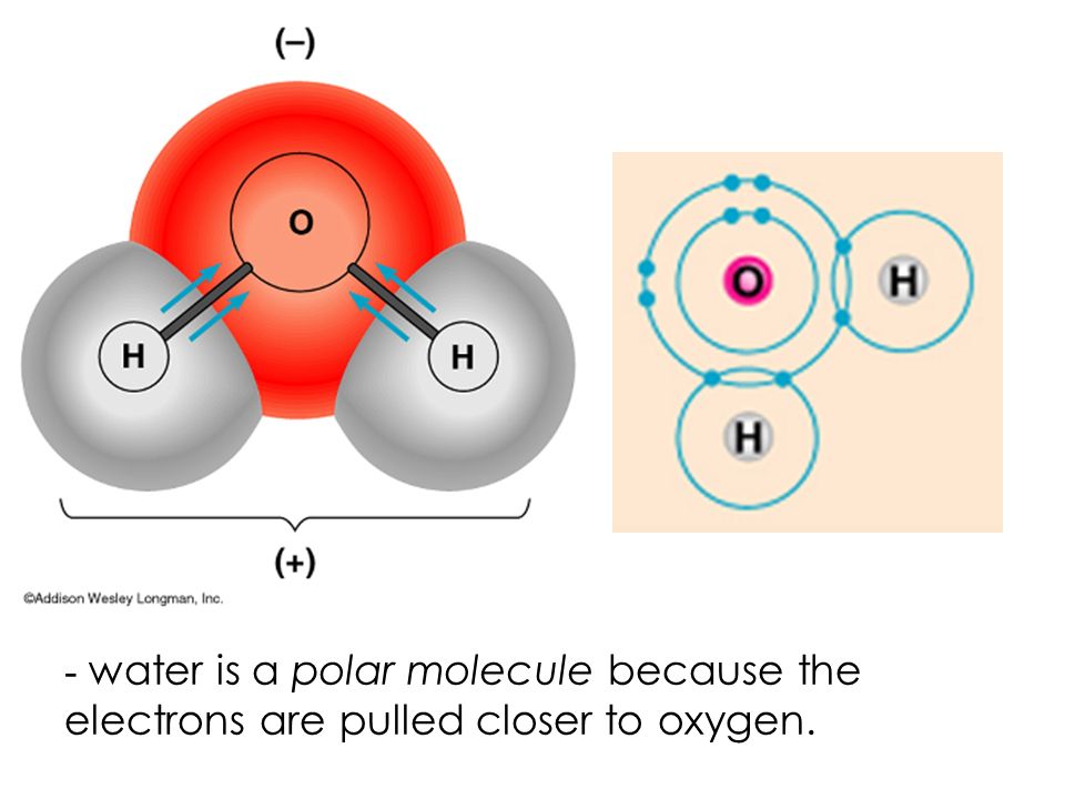 Covalent bonds- Two atoms share one or more pairs of outer- shell electrons.
