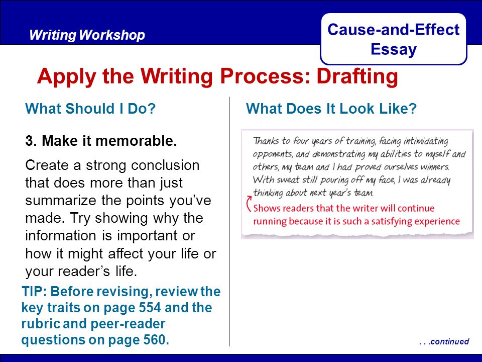 Writing A Cause And Effect Essay