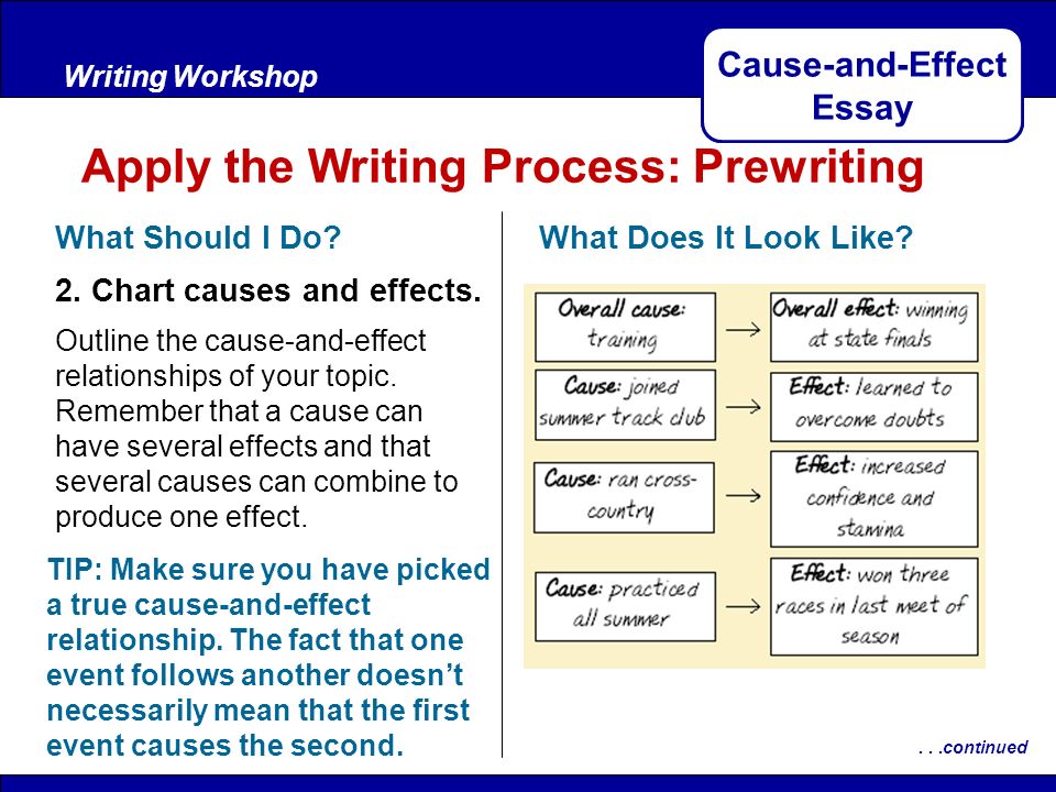 cause and effect essay of stress on college students cause and effect essay of stress on college students
