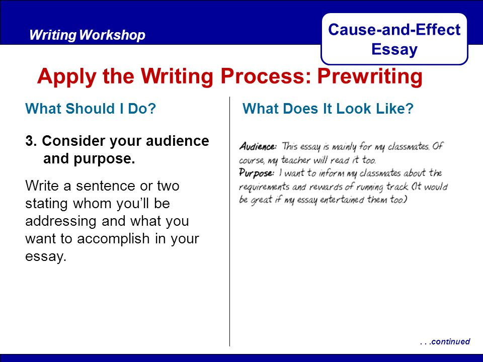 Purpose Of Writing An Essay