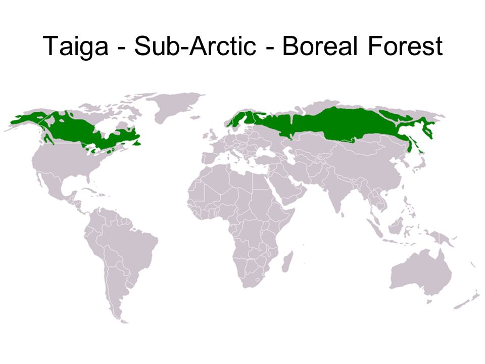 Taiga - Sub-Arctic - Boreal Forest