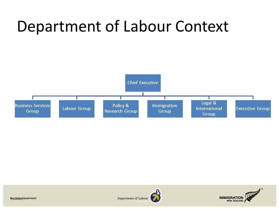 Department of Labour Context Chief Executive Business Services Group Labour Group Policy & Research Group Immigration Group Legal & International Group Executive Group