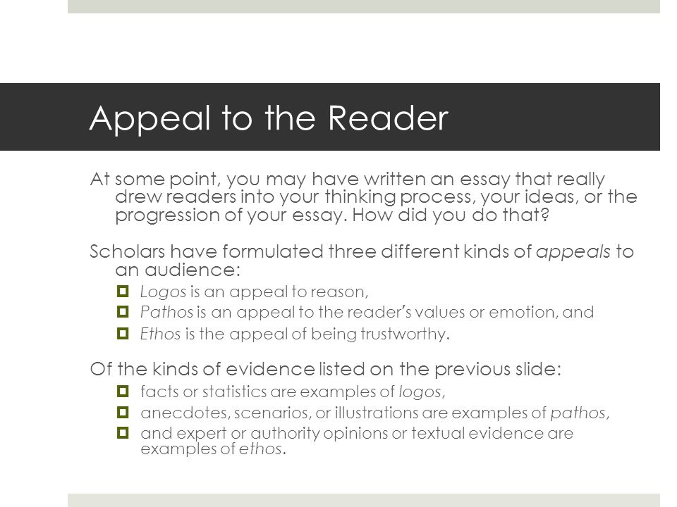Public Health Essay Krista Price Ethos Pathos Logos Essay Essay For You Photosynthesis Essay also Essays About Business Custom Essay Meister Coralstarru Report Writing Skills In Essay English Example