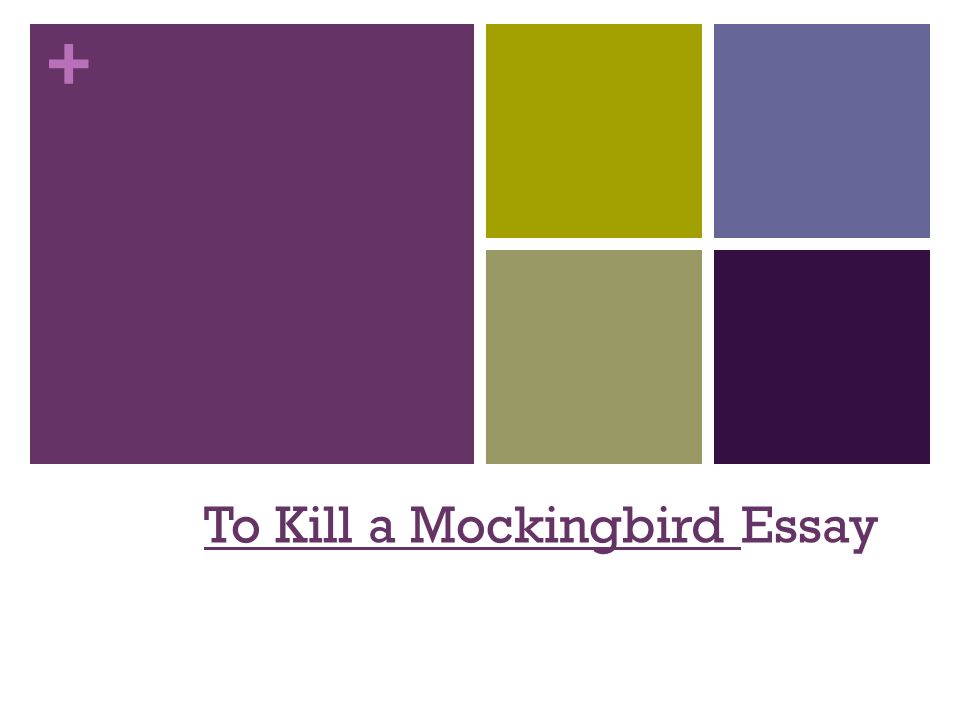 To kill a mockingbird prejudice essay introduction