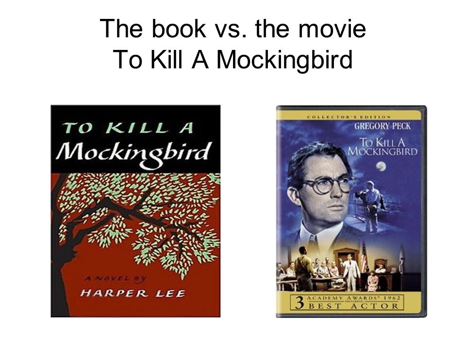 To kill a mockingbird siblings compare/contrast essay