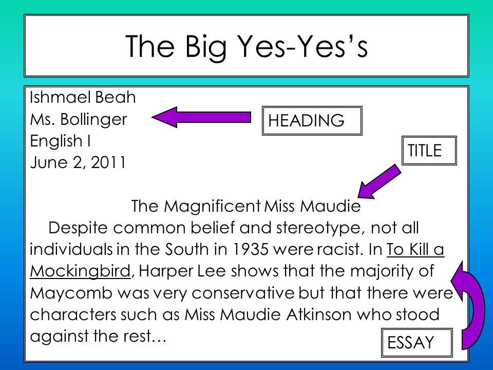 Ishmael Essay