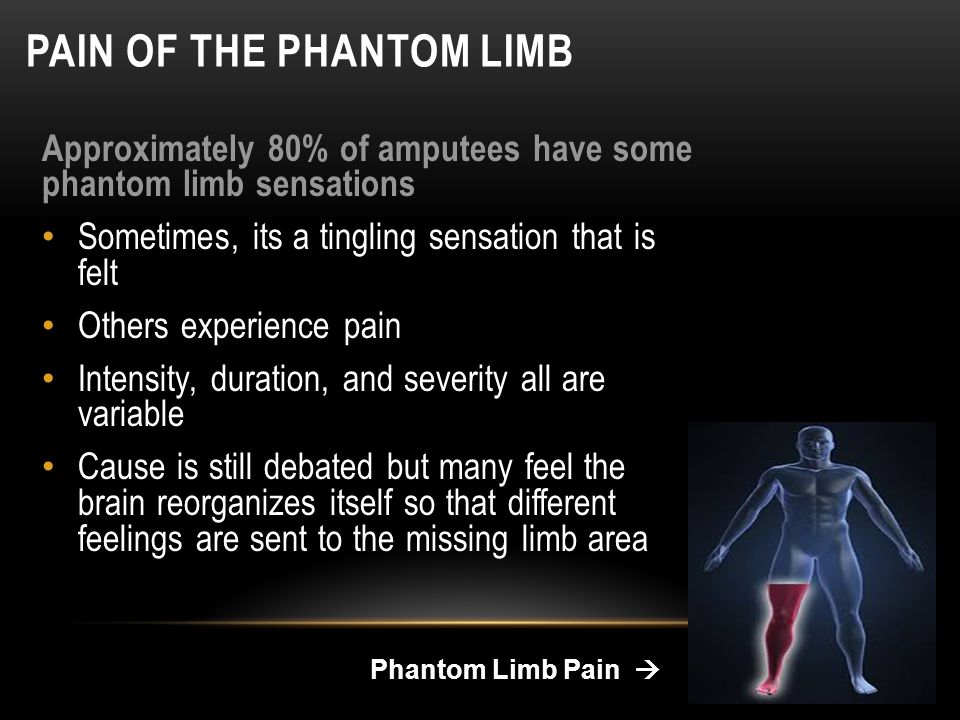 a study of the phantom limb phenomena Objectives: contentions exist regarding the true incidence of phantom limb pain (plp) and other associated post-amputation phenomena recognizing and understanding these phenomena would assist in the rehabilitation of amputees this study was designed to investigate all post-amputation phenomena in. a study of the phantom limb phenomena Objectives: contentions exist regarding the true incidence of phantom limb pain (plp) and other associated post-amputation phenomena recognizing and understanding these phenomena would assist in the rehabilitation of amputees this study was designed to investigate all post-amputation phenomena in.