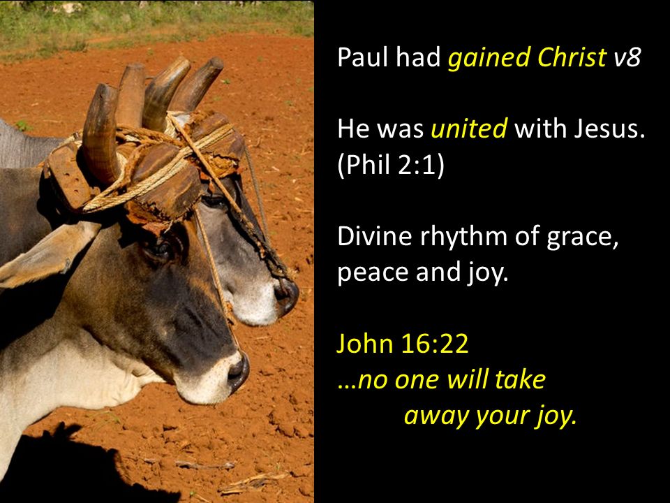 Paul had gained Christ v8 He was united with Jesus.