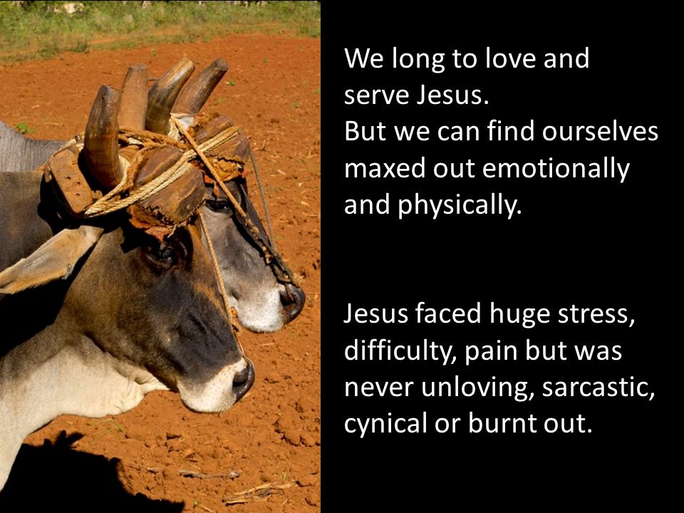 We long to love and serve Jesus. But we can find ourselves maxed out emotionally and physically.