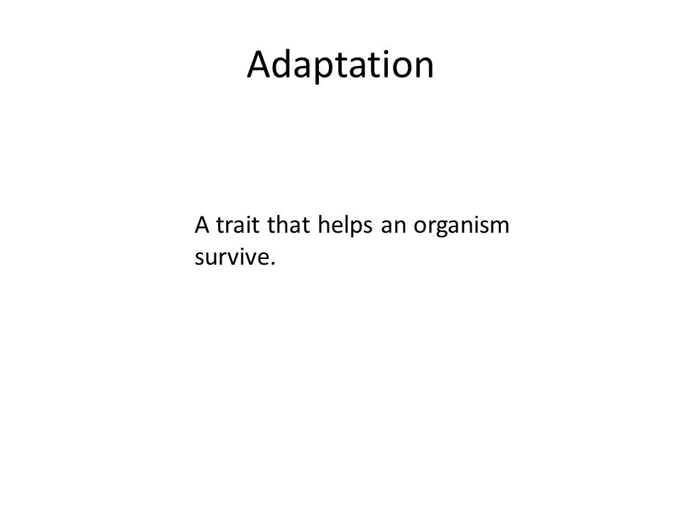 Adaptation A trait that helps an organism survive.