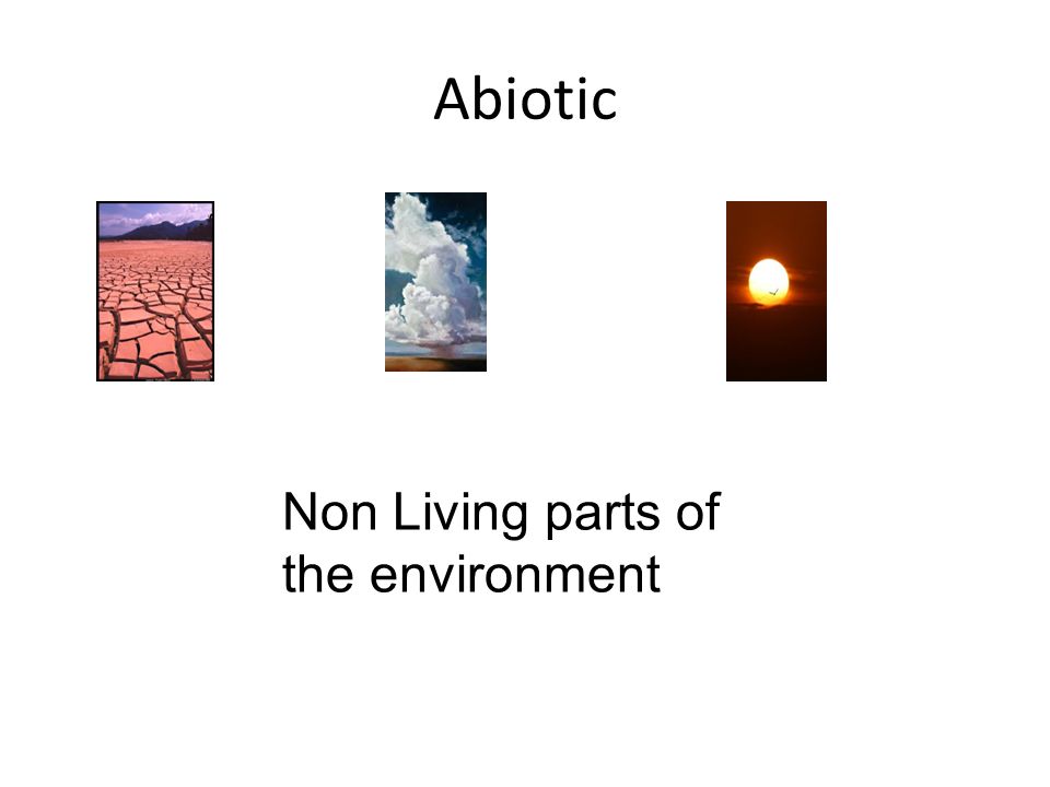 Abiotic Non Living parts of the environment