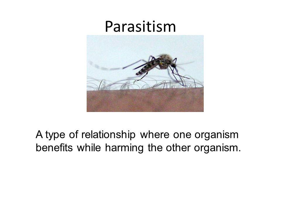 Parasitism A type of relationship where one organism benefits while harming the other organism.