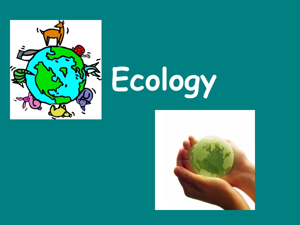 ecology presentation
