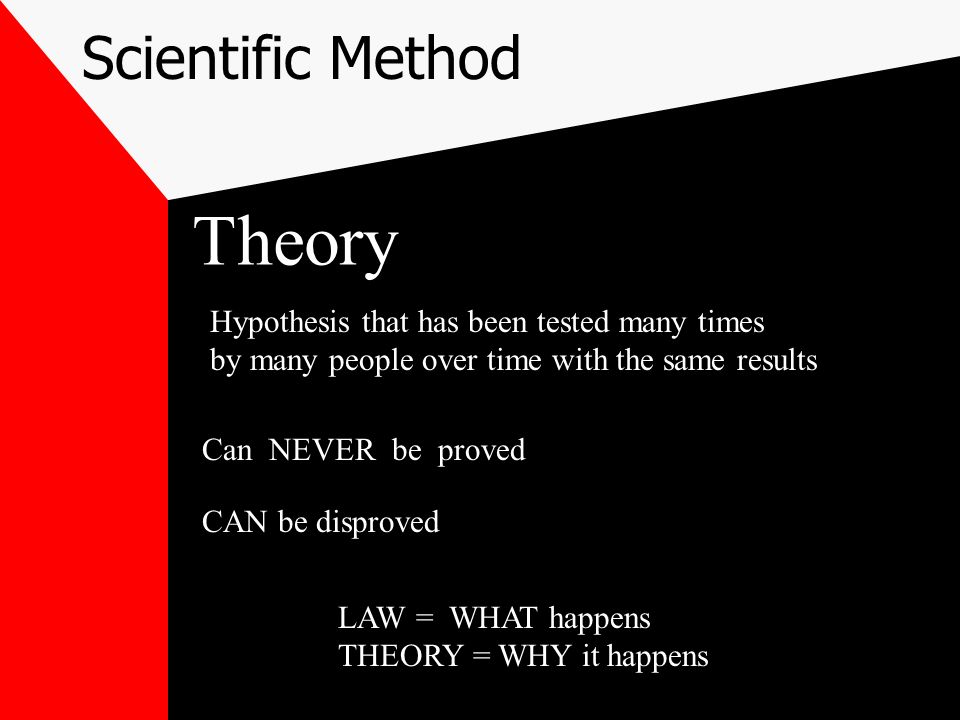 Scientific Method Conclusion Was your hypothesis correct.