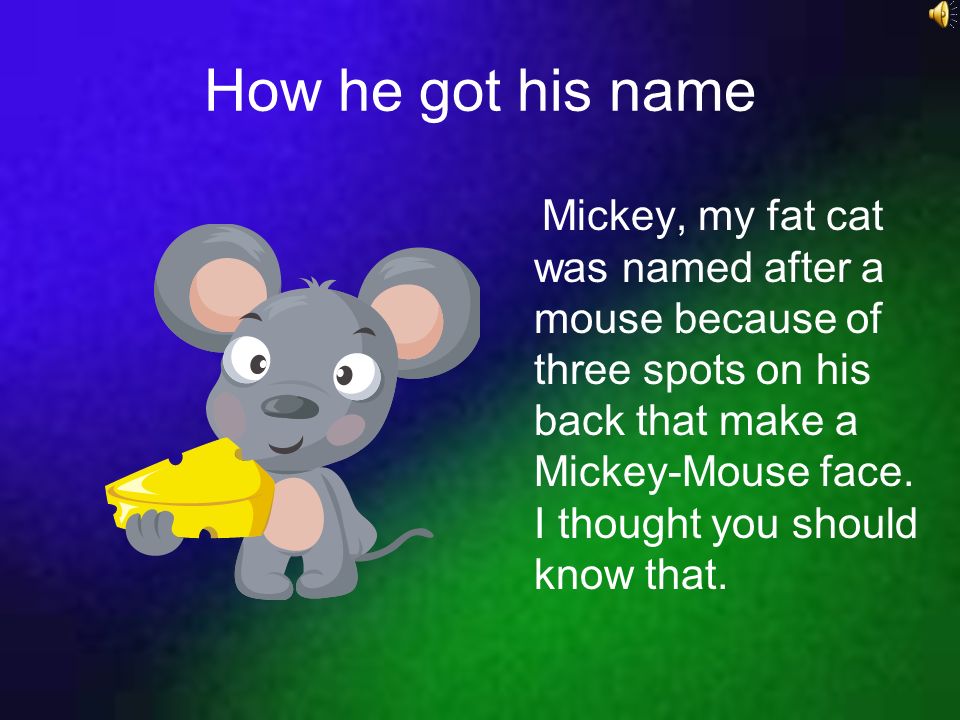 Mickey, My Fat Cat By Jordan Flach
